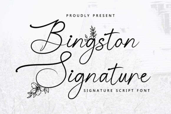 Bingston Signature: The Font That Feels Like a Handwritten Love Note