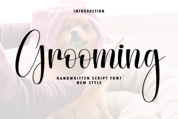 Discovering the Fluid Elegance of the Grooming Typeface
