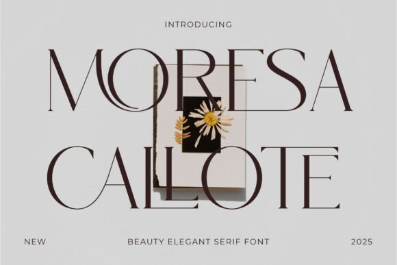 Moresa Callote: A Confident Serif for Modern Luxury